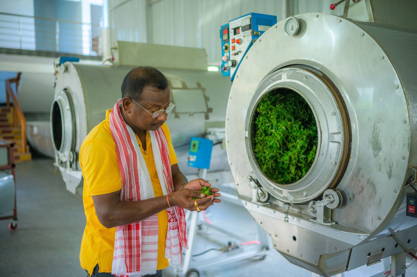 Rolling the tea leaves